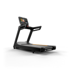 Matrix Endurance Treadmill
