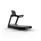 Matrix Endurance Treadmill