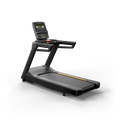 Matrix Endurance Treadmill