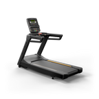 Matrix Endurance Treadmill