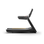 Matrix Endurance Treadmill