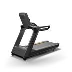 Matrix Performance Treadmill