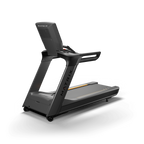 Matrix Performance Treadmill