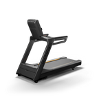 Matrix Endurance Treadmill