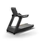 Matrix Performance Treadmill
