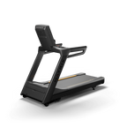 Matrix Endurance Treadmill