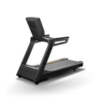 Matrix Endurance Treadmill